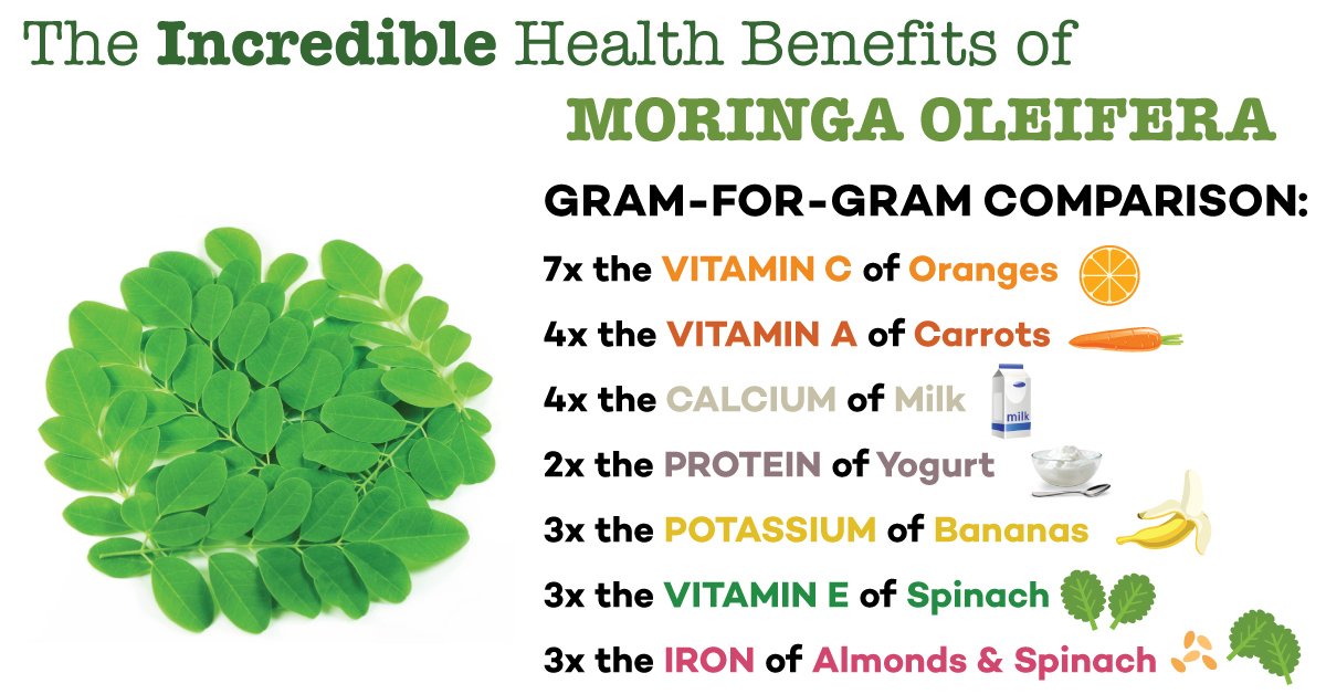 Moringa oleifera nutritional facts nutrients drumstick anslagstavla välj infograph antioxidants